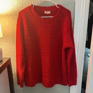 NWOT STYLE AND CO LADIES SWEATER